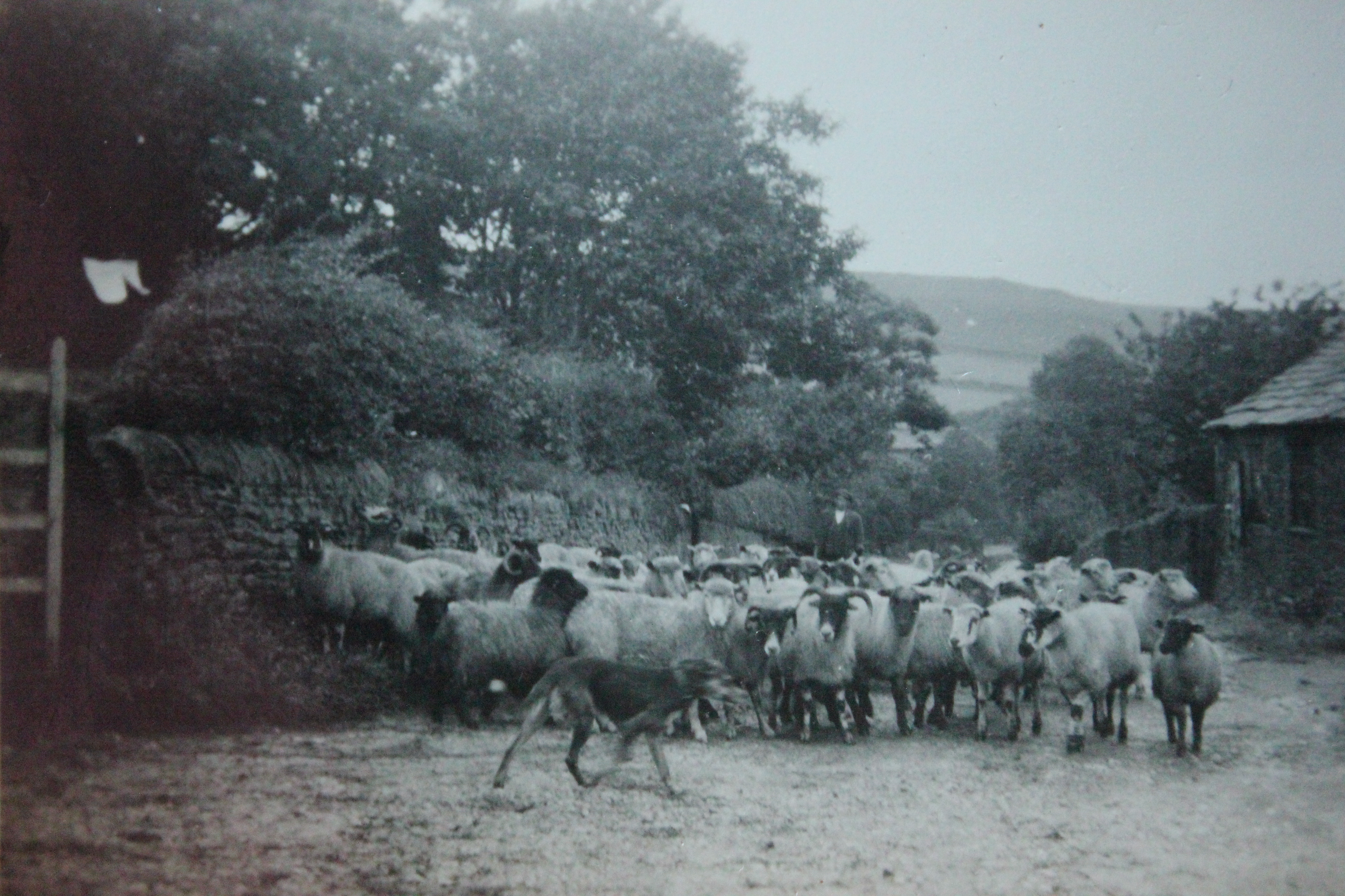 Abney village