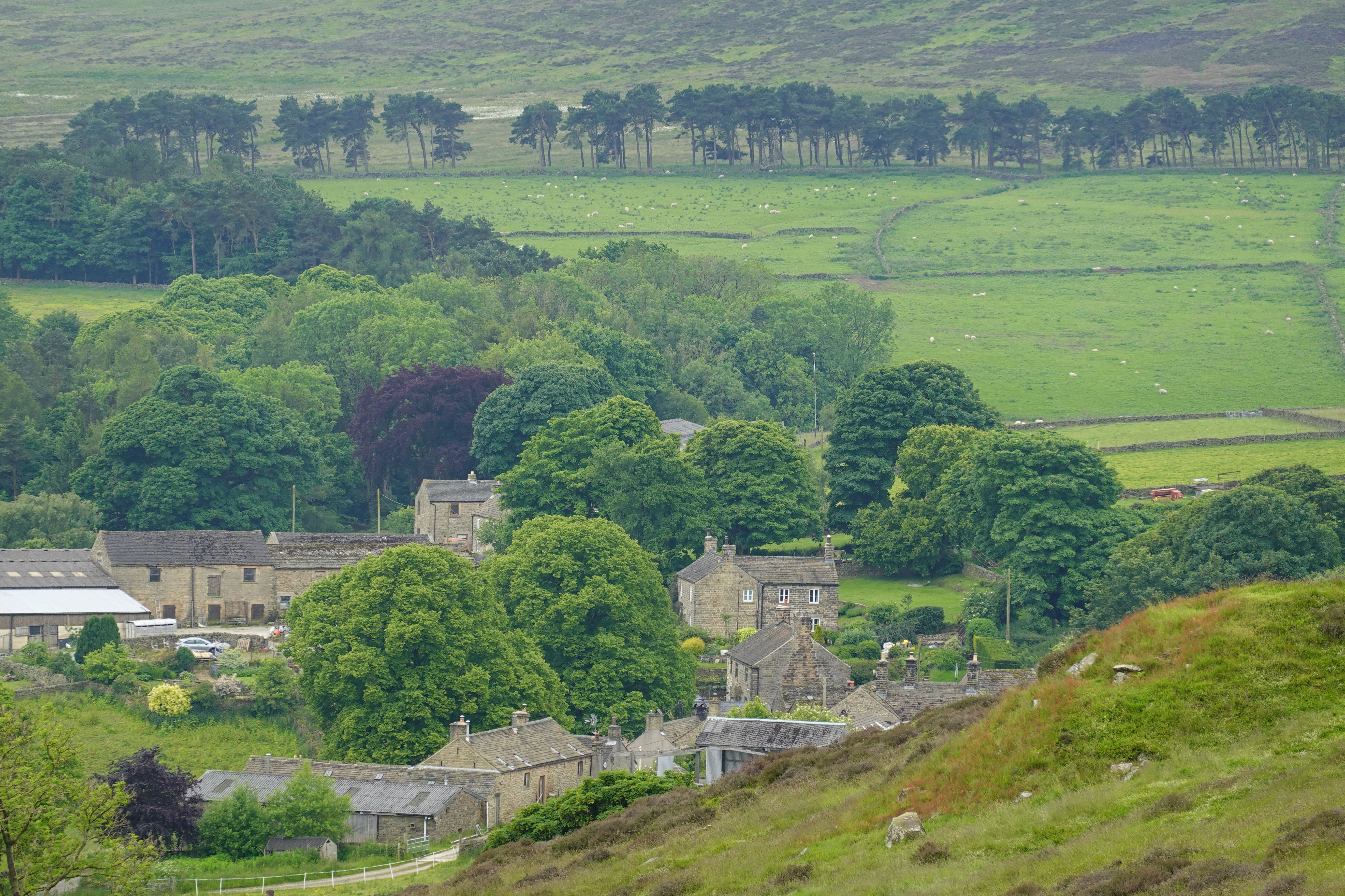 Abney village