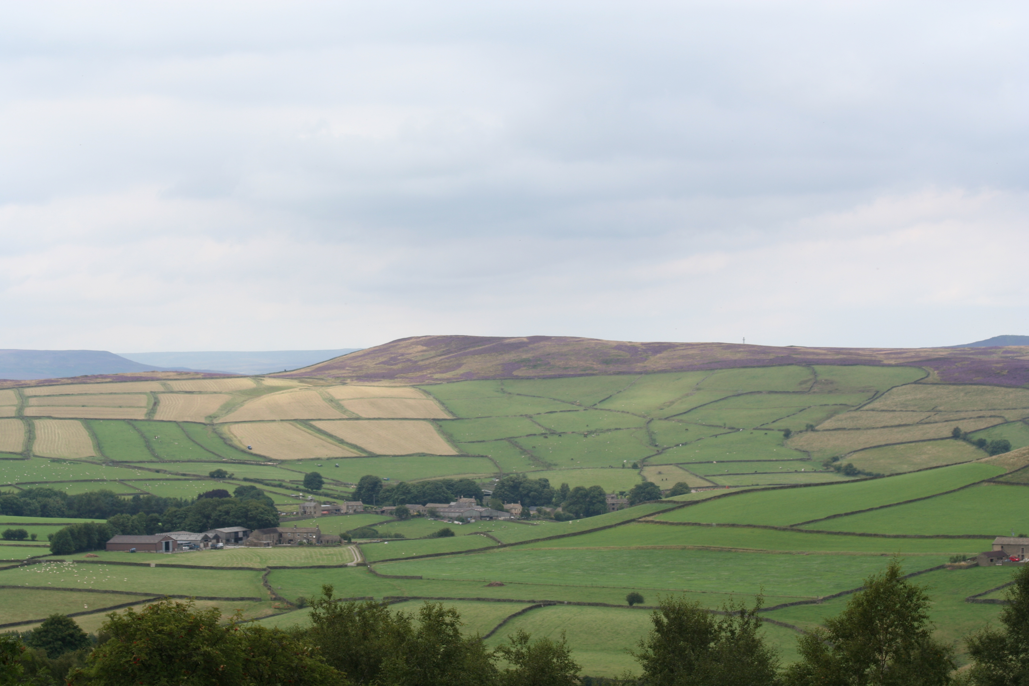 Abney village
